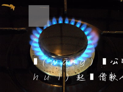 網(wǎng)貸公司會(huì)不會(huì)起訴借款人，網(wǎng)貸公司是否會(huì)起訴借款人？你需要了解的法律知識(shí)